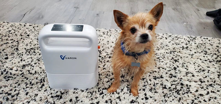 imgi_114_3_a7884a97-53b2-400f-817c-1ffcd0f36d14.png__PID:29a3f0d6-bd87-4810-9102-c997de1d364e